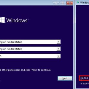 Uninstall the corrupt driver and Windows Update