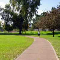 Views along the Scottsdale Greenbelt, a series of