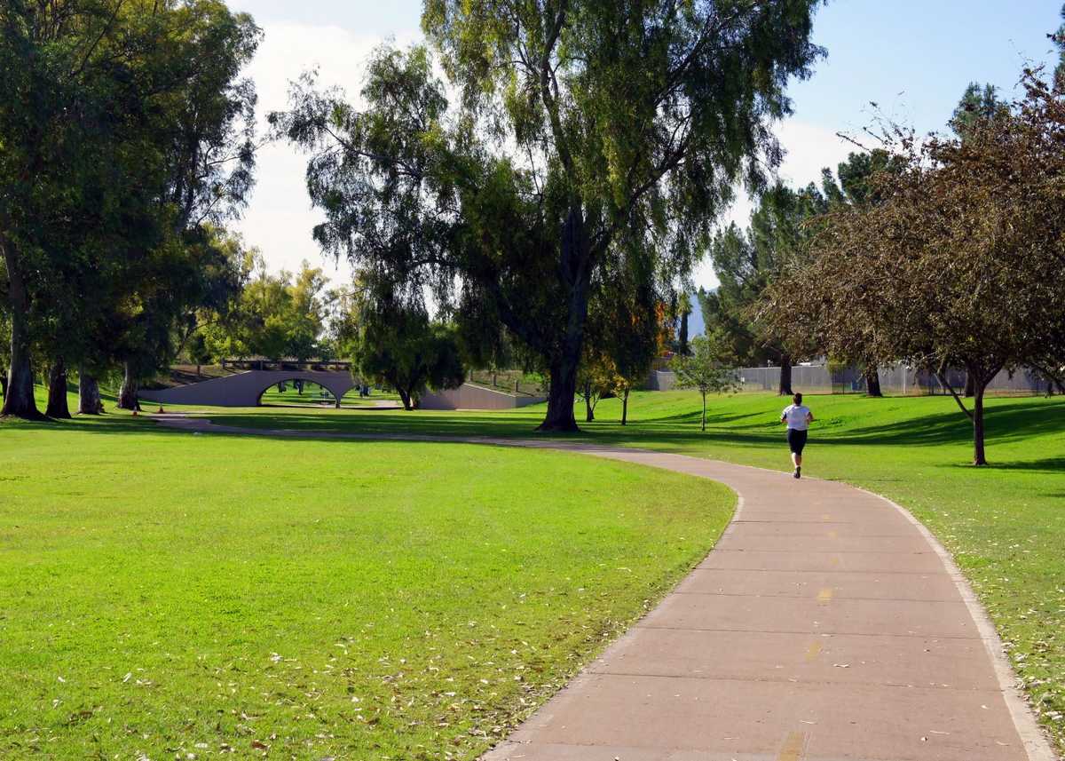 Views along the Scottsdale Greenbelt, a series of