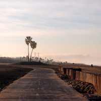 Bike Path and palm trees on the beach at  Dockweiler Beach State Park, Playa Del Rey in Los Angeles, California with sun rising overhead.