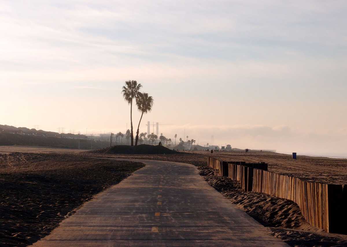 Bike Path and palm trees on the beach at  Dockweiler Beach State Park, Playa Del Rey in Los Angeles, California with sun rising overhead.