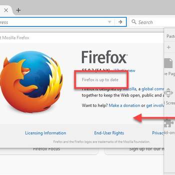 Update Mozilla Firefox and Adobe Flash Player